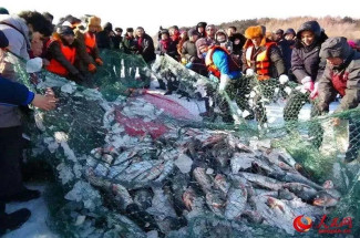 篷房租賃,篷房出租,倉儲篷房,婚慶篷房,篷房廠家,篷房